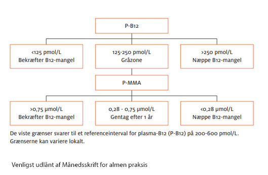 Vitamin B12 Mangel, Klinikpersonale - Lægehåndbogen På Sundhed.dk